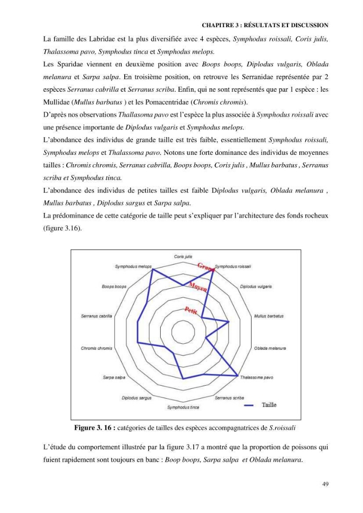 Contribution à l’étude de Symphodus roissali (Risso, 1810) des côtes centres du bassin algérien