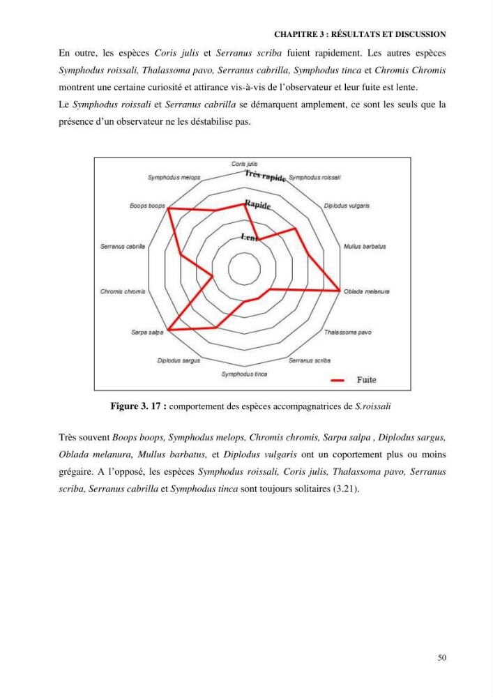 Contribution à l’étude de Symphodus roissali (Risso, 1810) des côtes centres du bassin algérien