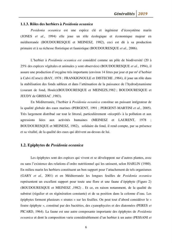 Contribution à l’utilisation des épiphytes des feuilles de Posidonia oceanica dans les réseaux de surveillance :résultats préliminaires