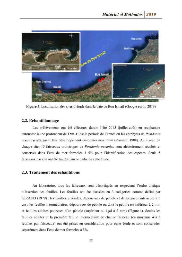 Contribution à l’utilisation des épiphytes des feuilles de Posidonia oceanica dans les réseaux de surveillance :résultats préliminaires