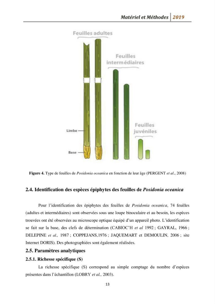 Contribution à l’utilisation des épiphytes des feuilles de Posidonia oceanica dans les réseaux de surveillance :résultats préliminaires