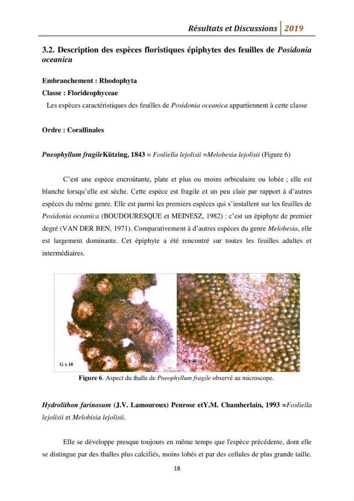 Contribution à l’utilisation des épiphytes des feuilles de Posidonia oceanica dans les réseaux de surveillance :résultats préliminaires