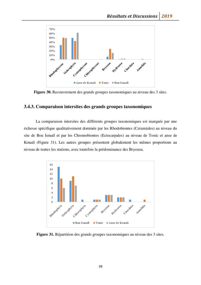 Contribution à l’utilisation des épiphytes des feuilles de Posidonia oceanica dans les réseaux de surveillance :résultats préliminaires