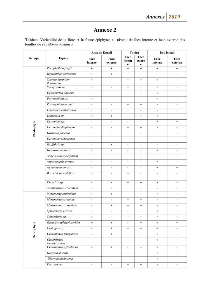 Contribution à l’utilisation des épiphytes des feuilles de Posidonia oceanica dans les réseaux de surveillance :résultats préliminaires