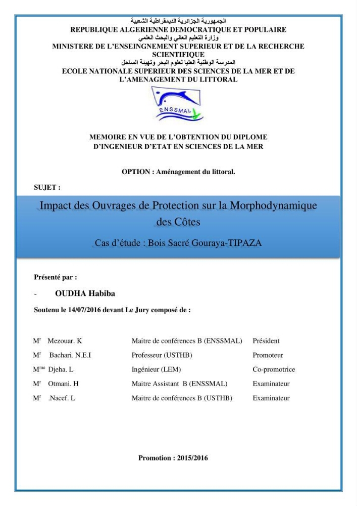 Impact des ouvrages de protection sur la morphodynamique des côtes