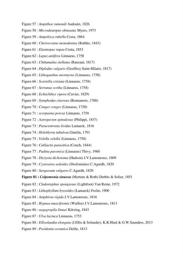 Inventaire du benthos des zones rocheuses de la région d’El Kala