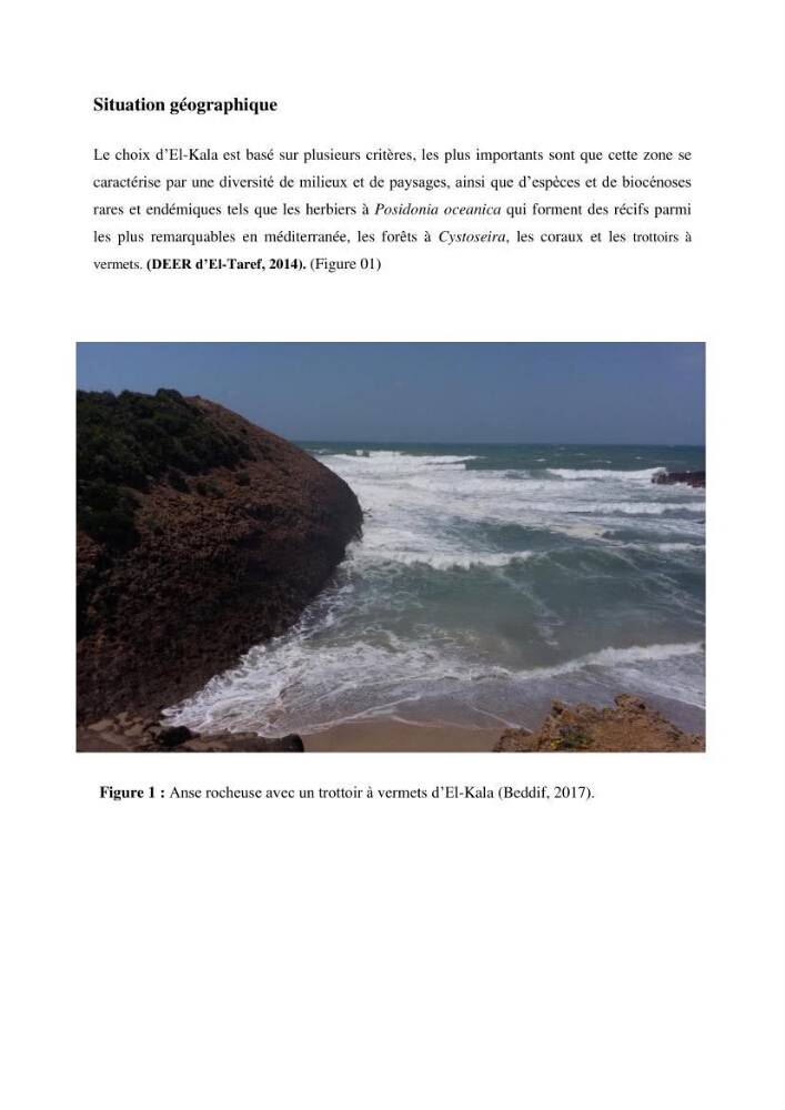 Inventaire du benthos des zones rocheuses de la région d’El Kala