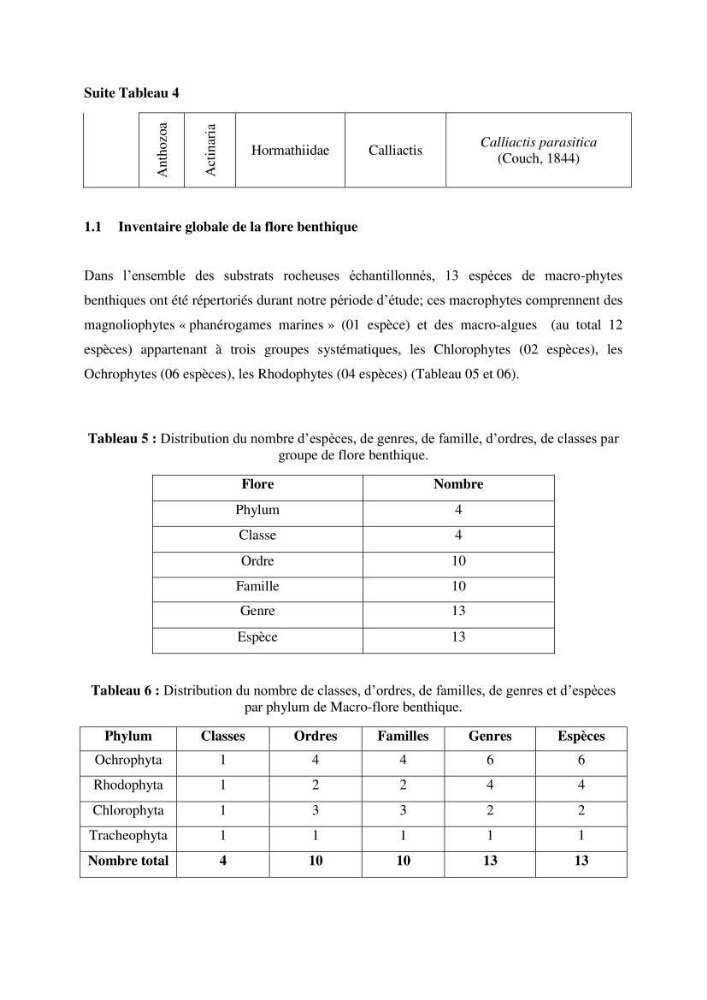 Inventaire du benthos des zones rocheuses de la région d’El Kala