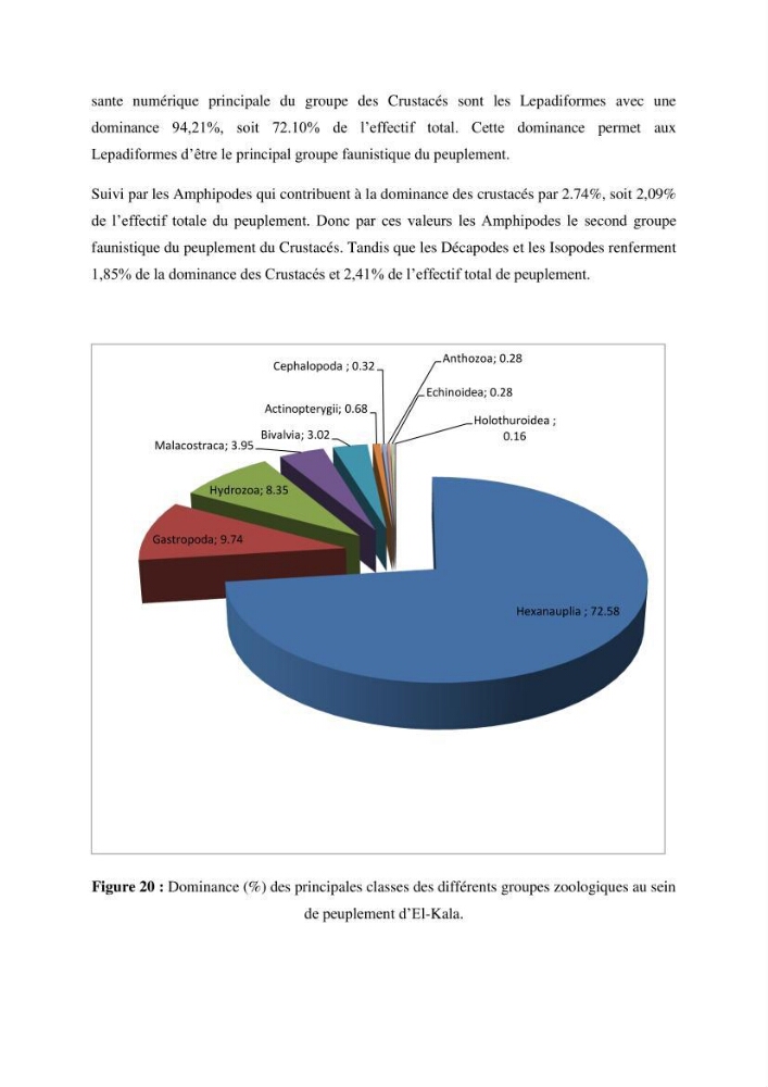 Inventaire du benthos des zones rocheuses de la région d’El Kala