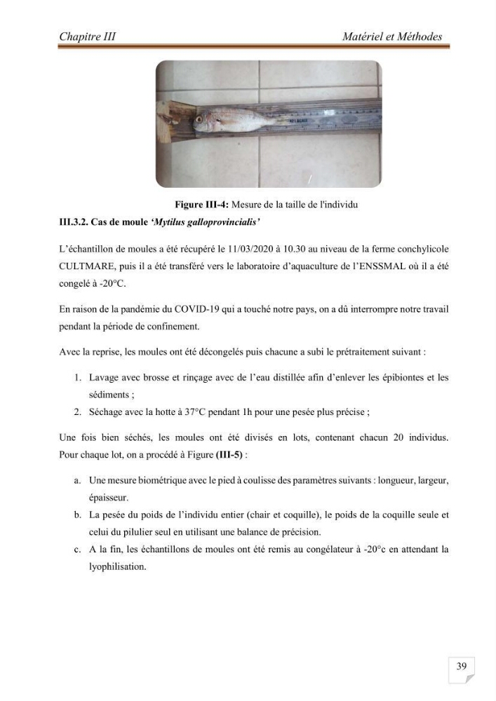 Evaluation de l’activité du Polonium-210 et niveaux des éléments de trace métalliques (Hg, Pb et Cd) dans le biote (Poissons comestibles et fruits de mer), risque sur la santé de l’homme:
