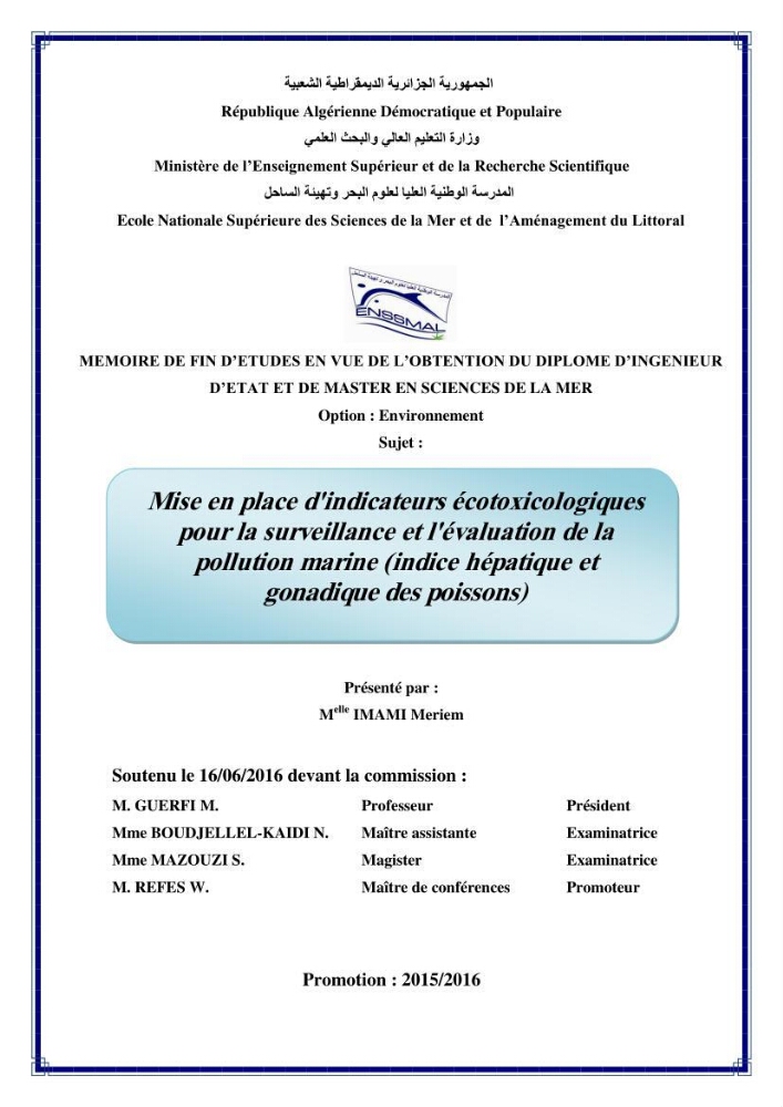 Hydrologie, modélisation hydro-sédimentaire et conception des ouvrages de protection : cas de la baie de Béjaia: