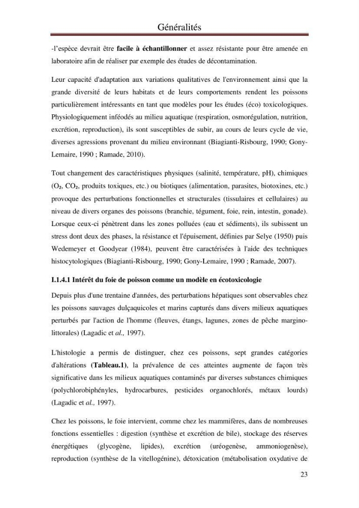 Hydrologie, modélisation hydro-sédimentaire et conception des ouvrages de protection : cas de la baie de Béjaia: