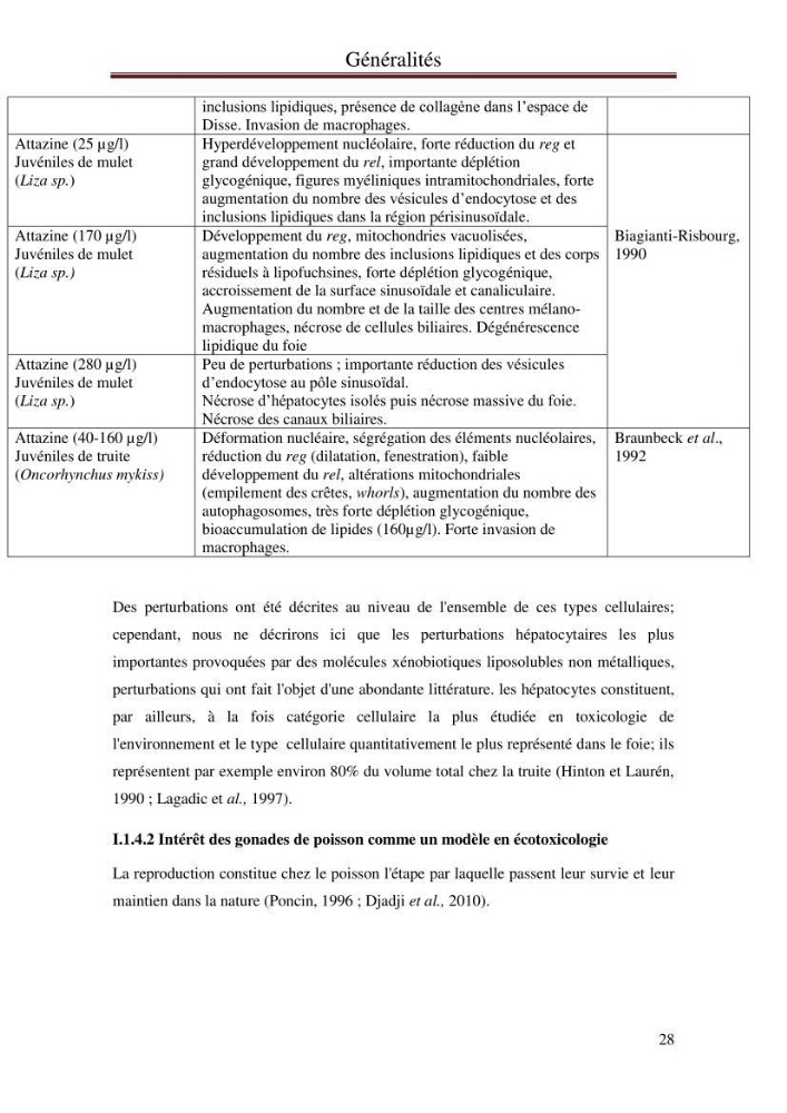 Hydrologie, modélisation hydro-sédimentaire et conception des ouvrages de protection : cas de la baie de Béjaia: