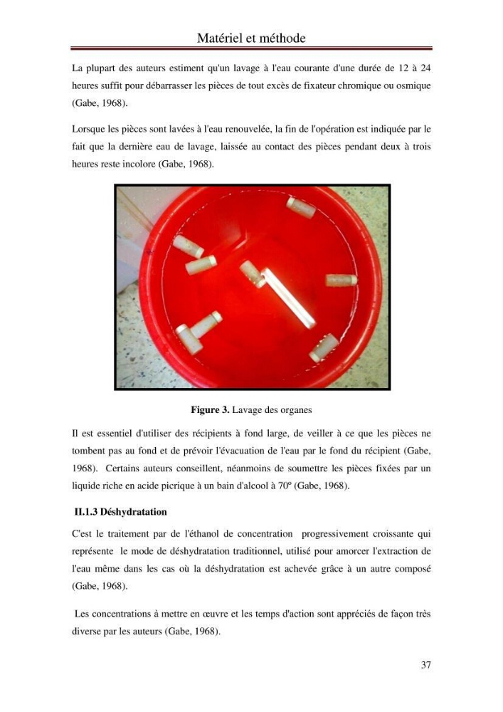 Hydrologie, modélisation hydro-sédimentaire et conception des ouvrages de protection : cas de la baie de Béjaia: