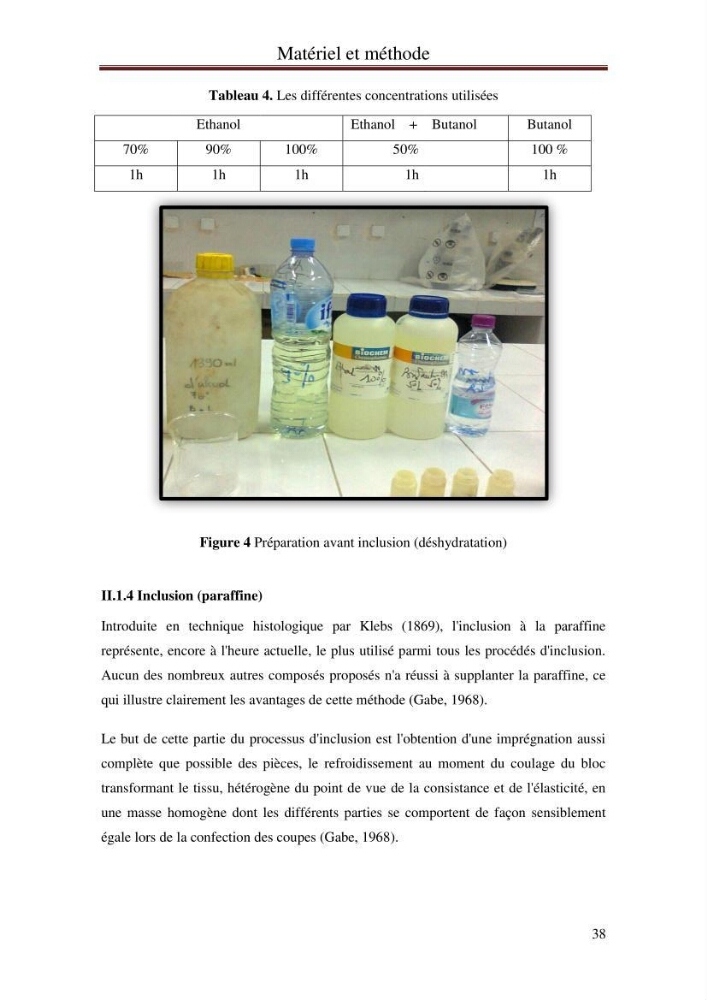 Hydrologie, modélisation hydro-sédimentaire et conception des ouvrages de protection : cas de la baie de Béjaia: