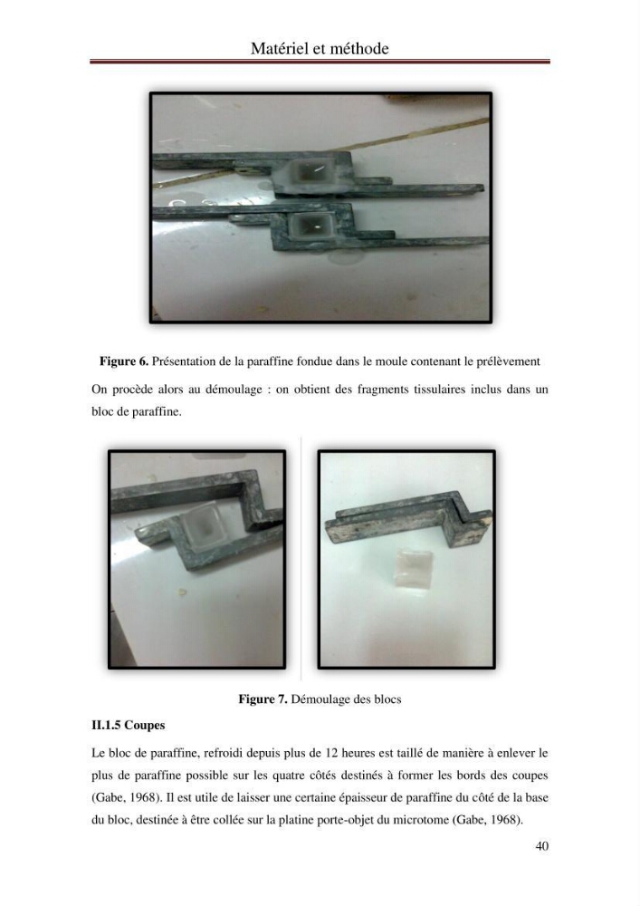 Hydrologie, modélisation hydro-sédimentaire et conception des ouvrages de protection : cas de la baie de Béjaia: