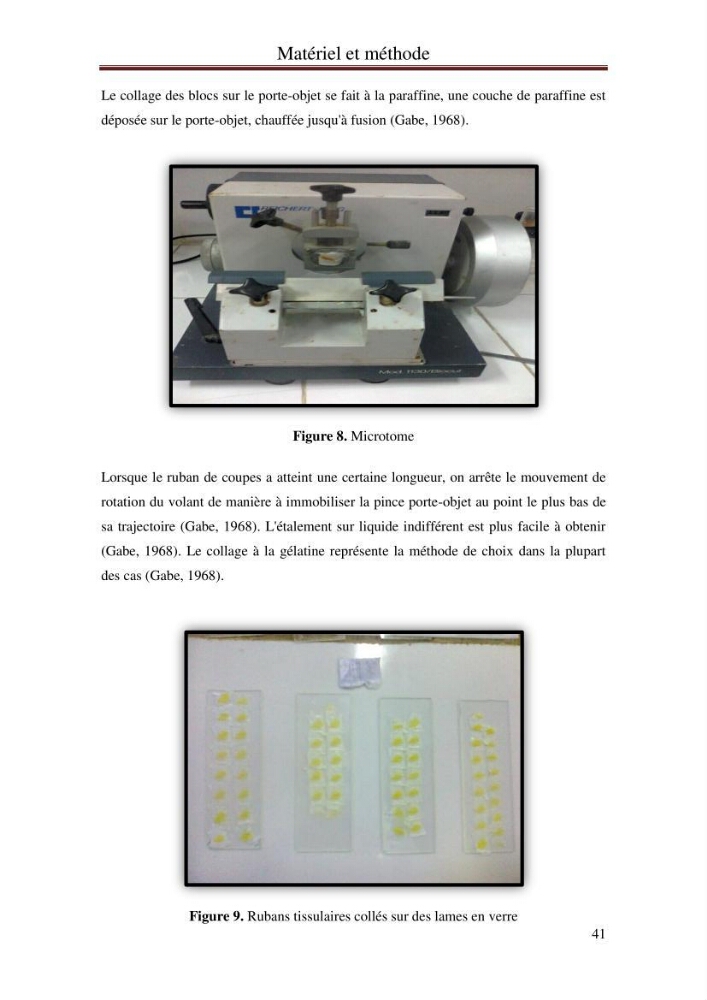 Hydrologie, modélisation hydro-sédimentaire et conception des ouvrages de protection : cas de la baie de Béjaia: