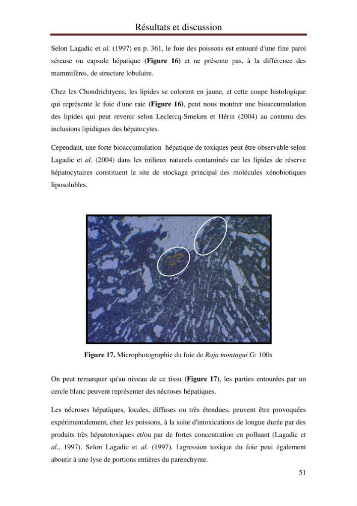 Hydrologie, modélisation hydro-sédimentaire et conception des ouvrages de protection : cas de la baie de Béjaia: