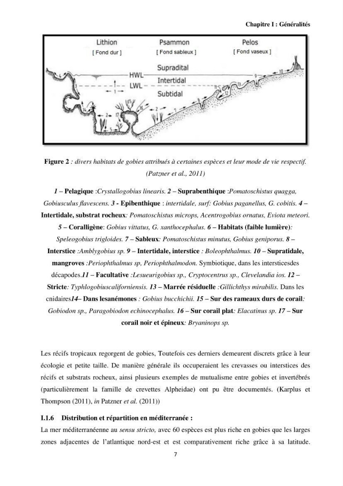 Contribution à l’étude des Gobiidae (Actinopterygii, Perciformes): inventaire d’espèces de quelques ports et plages de la côte algérienne.
