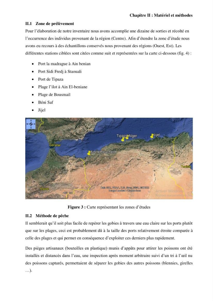 Contribution à l’étude des Gobiidae (Actinopterygii, Perciformes): inventaire d’espèces de quelques ports et plages de la côte algérienne.