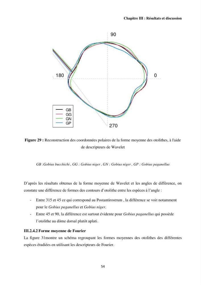 Contribution à l’étude des Gobiidae (Actinopterygii, Perciformes): inventaire d’espèces de quelques ports et plages de la côte algérienne.