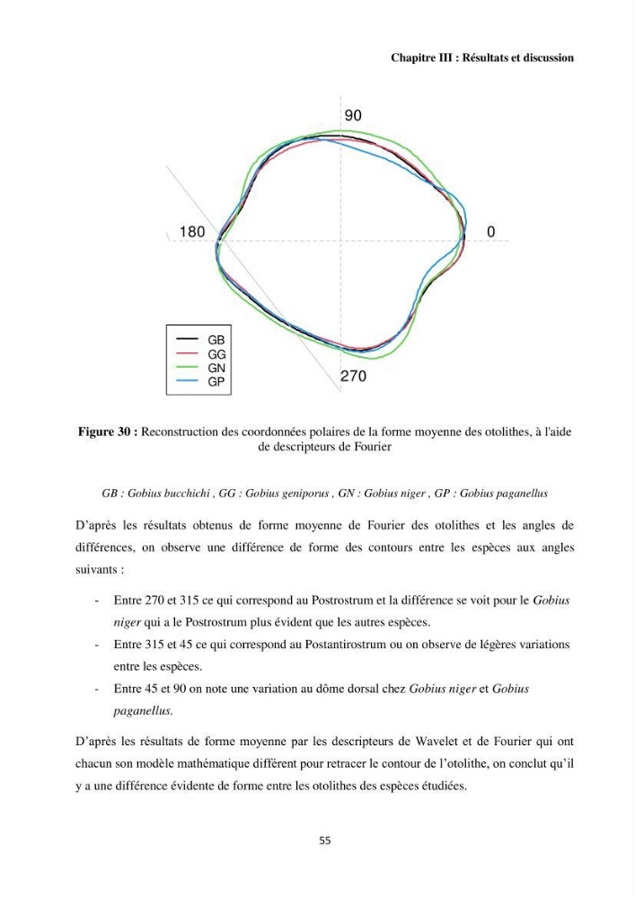 Contribution à l’étude des Gobiidae (Actinopterygii, Perciformes): inventaire d’espèces de quelques ports et plages de la côte algérienne.