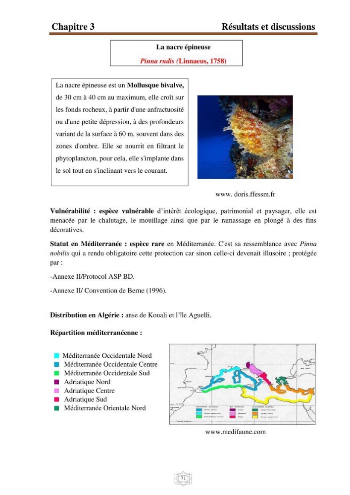 Inventaire de la faune et de la flore marine d\'intérêt écologique des sites remarquables de la région centre de la côte Algérienne (l\'Anse de Kouali et l\'île Aguelli):