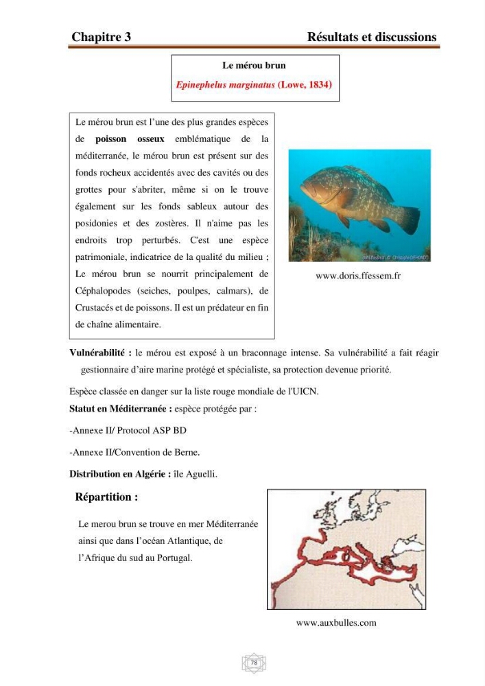Inventaire de la faune et de la flore marine d\'intérêt écologique des sites remarquables de la région centre de la côte Algérienne (l\'Anse de Kouali et l\'île Aguelli):