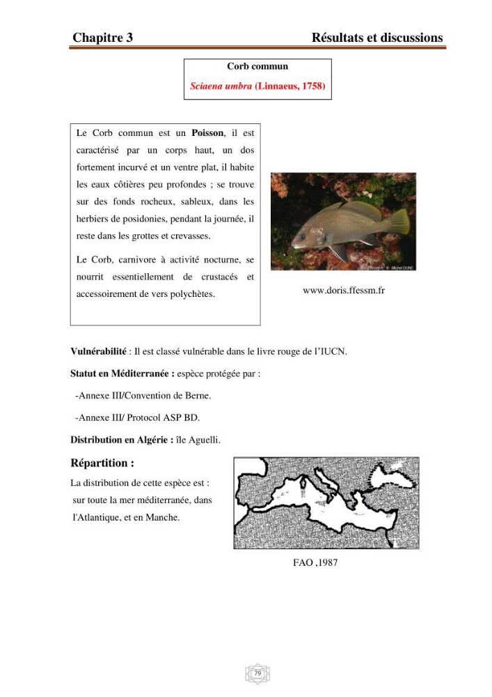 Inventaire de la faune et de la flore marine d\'intérêt écologique des sites remarquables de la région centre de la côte Algérienne (l\'Anse de Kouali et l\'île Aguelli):