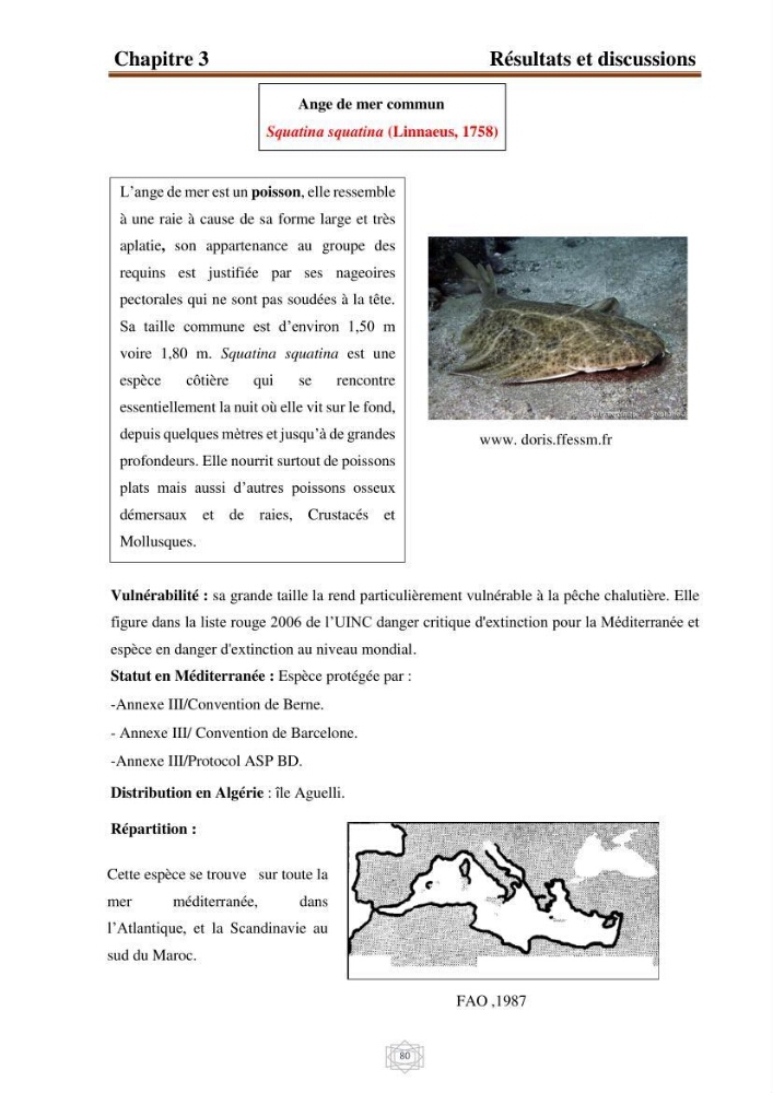 Inventaire de la faune et de la flore marine d\'intérêt écologique des sites remarquables de la région centre de la côte Algérienne (l\'Anse de Kouali et l\'île Aguelli):
