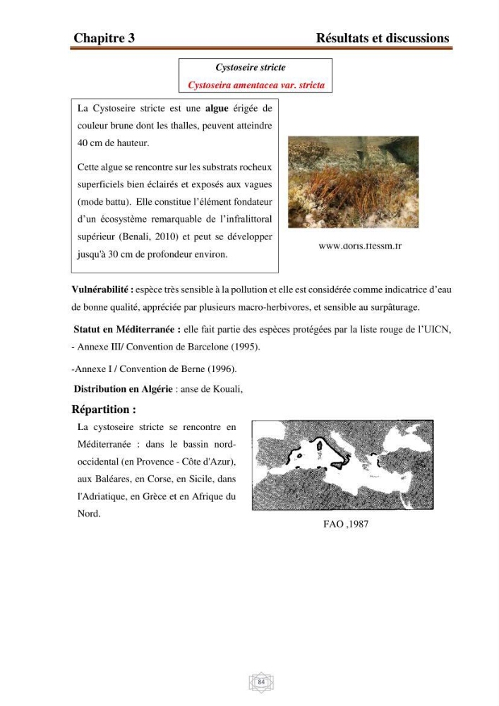 Inventaire de la faune et de la flore marine d\'intérêt écologique des sites remarquables de la région centre de la côte Algérienne (l\'Anse de Kouali et l\'île Aguelli):