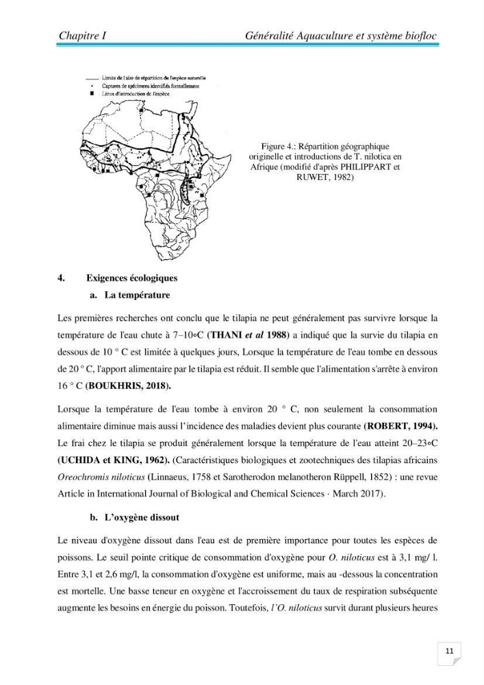 Contribution à la conception d’une ferme d\'élevage De tilapia du Nil (Oreochromis niloticus) en système bio-floc.