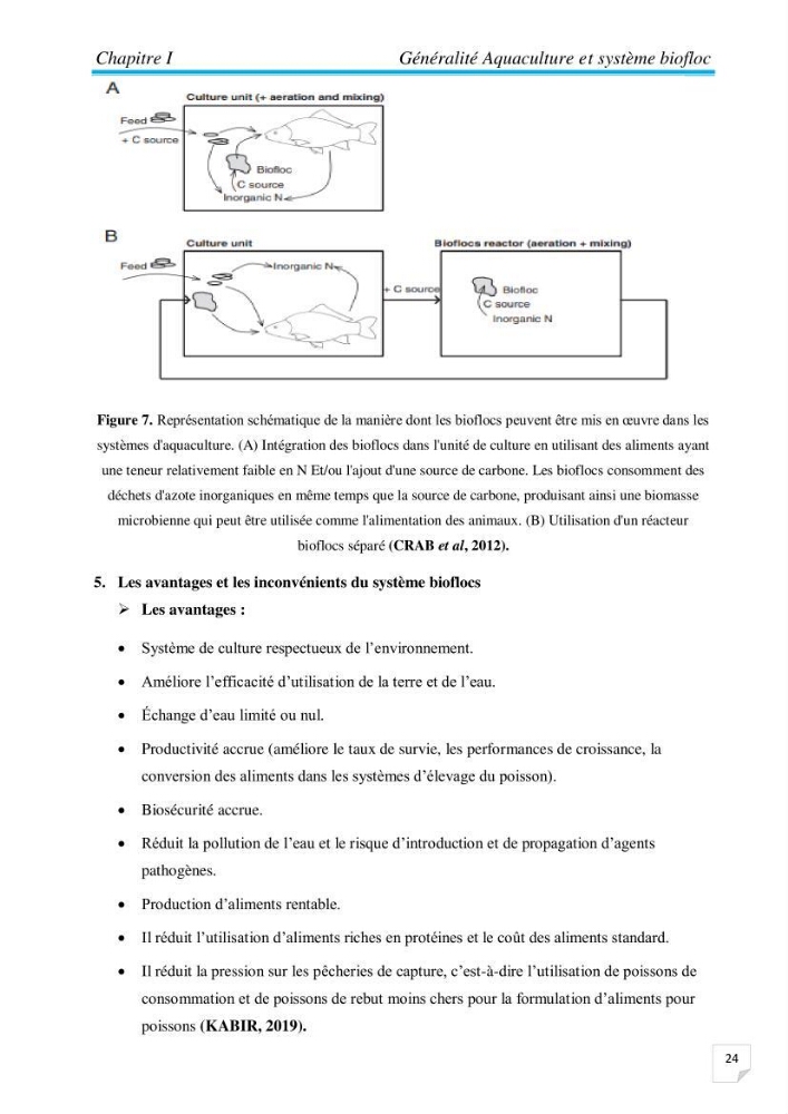 Contribution à la conception d’une ferme d\'élevage De tilapia du Nil (Oreochromis niloticus) en système bio-floc.