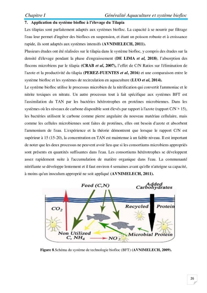 Contribution à la conception d’une ferme d\'élevage De tilapia du Nil (Oreochromis niloticus) en système bio-floc.