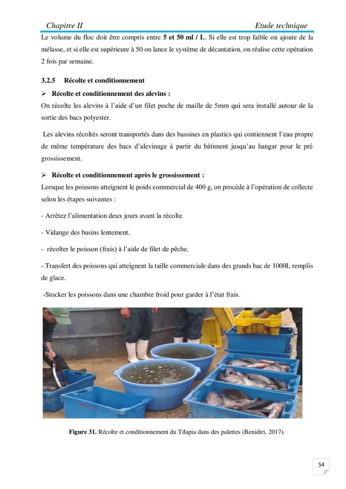 Contribution à la conception d’une ferme d\'élevage De tilapia du Nil (Oreochromis niloticus) en système bio-floc.