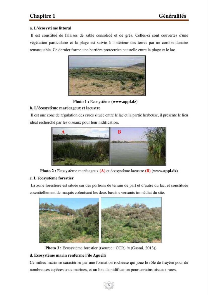 Inventaire de la faune et de la flore marine d\'intérêt écologique des sites remarquables de la région centre de la côte Algérienne (l\'Anse de Kouali et l\'île Aguelli)