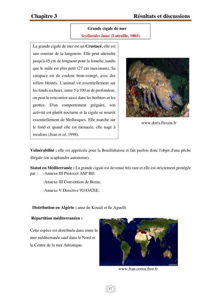 Inventaire de la faune et de la flore marine d\'intérêt écologique des sites remarquables de la région centre de la côte Algérienne (l\'Anse de Kouali et l\'île Aguelli)