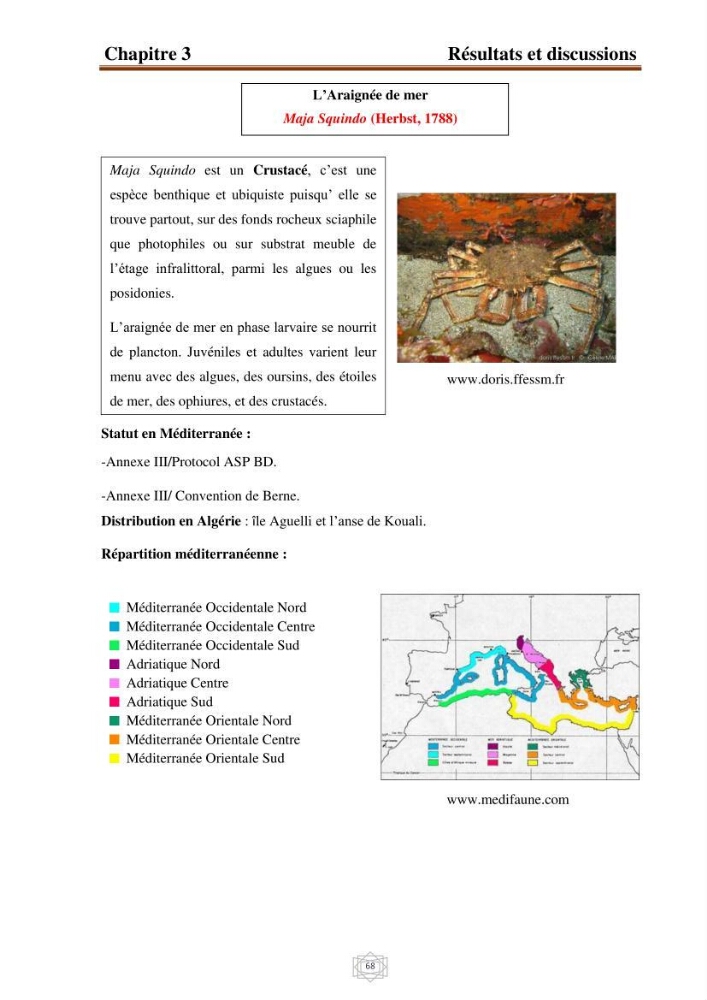 Inventaire de la faune et de la flore marine d\'intérêt écologique des sites remarquables de la région centre de la côte Algérienne (l\'Anse de Kouali et l\'île Aguelli)