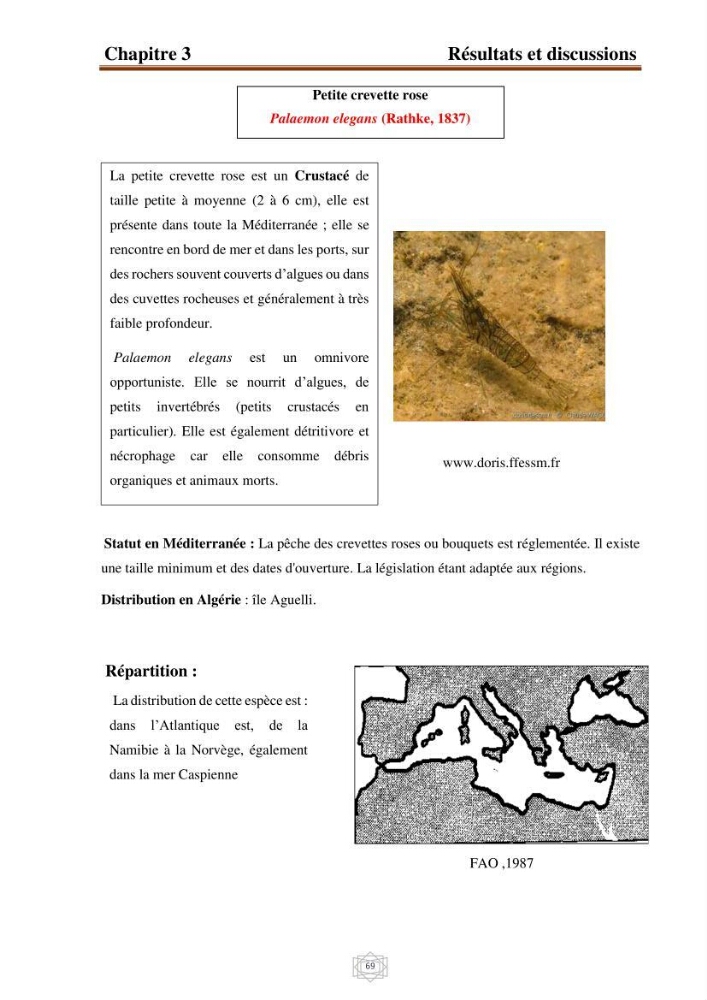 Inventaire de la faune et de la flore marine d\'intérêt écologique des sites remarquables de la région centre de la côte Algérienne (l\'Anse de Kouali et l\'île Aguelli)