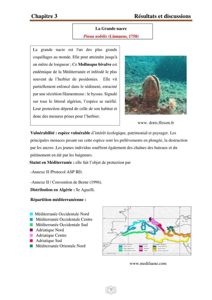 Inventaire de la faune et de la flore marine d\'intérêt écologique des sites remarquables de la région centre de la côte Algérienne (l\'Anse de Kouali et l\'île Aguelli)
