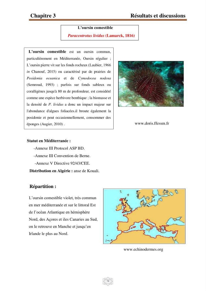Inventaire de la faune et de la flore marine d\'intérêt écologique des sites remarquables de la région centre de la côte Algérienne (l\'Anse de Kouali et l\'île Aguelli)