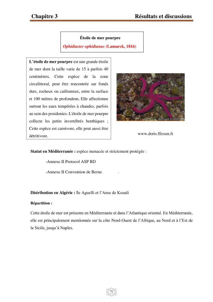 Inventaire de la faune et de la flore marine d\'intérêt écologique des sites remarquables de la région centre de la côte Algérienne (l\'Anse de Kouali et l\'île Aguelli)