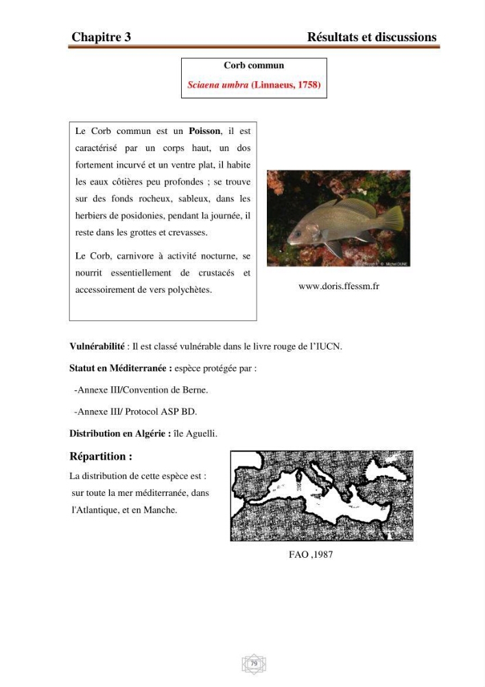 Inventaire de la faune et de la flore marine d\'intérêt écologique des sites remarquables de la région centre de la côte Algérienne (l\'Anse de Kouali et l\'île Aguelli)