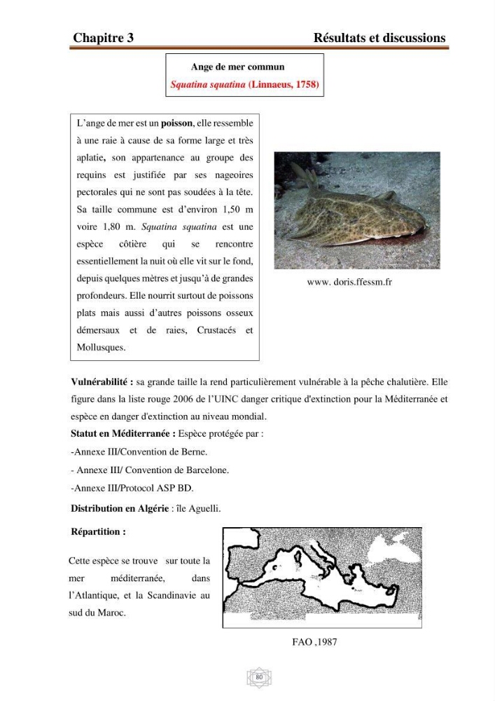 Inventaire de la faune et de la flore marine d\'intérêt écologique des sites remarquables de la région centre de la côte Algérienne (l\'Anse de Kouali et l\'île Aguelli)