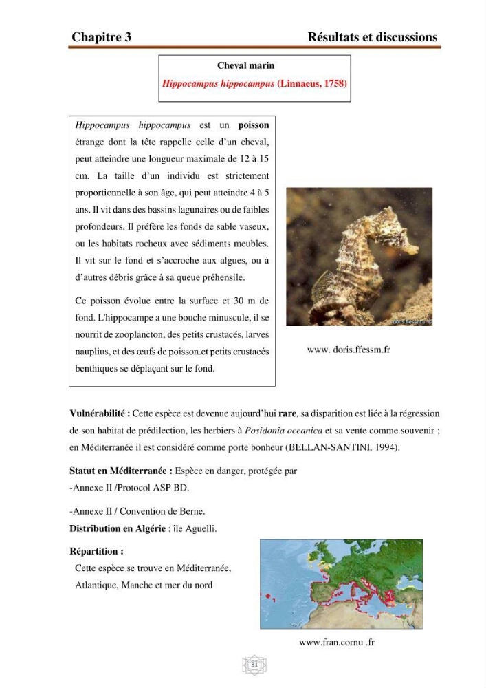 Inventaire de la faune et de la flore marine d\'intérêt écologique des sites remarquables de la région centre de la côte Algérienne (l\'Anse de Kouali et l\'île Aguelli)