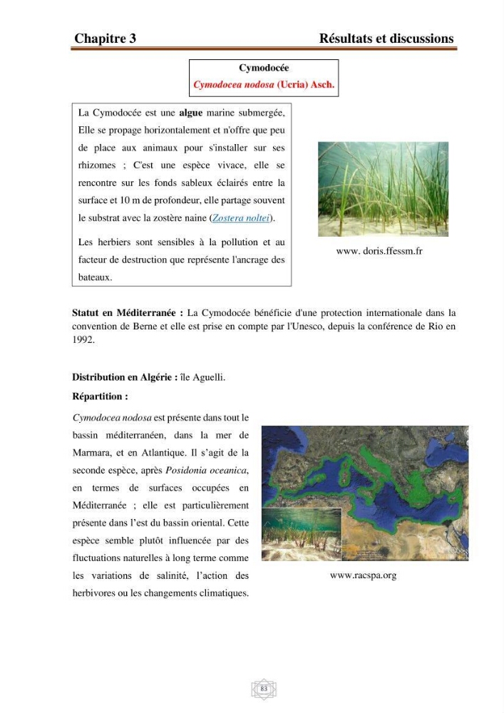 Inventaire de la faune et de la flore marine d\'intérêt écologique des sites remarquables de la région centre de la côte Algérienne (l\'Anse de Kouali et l\'île Aguelli)