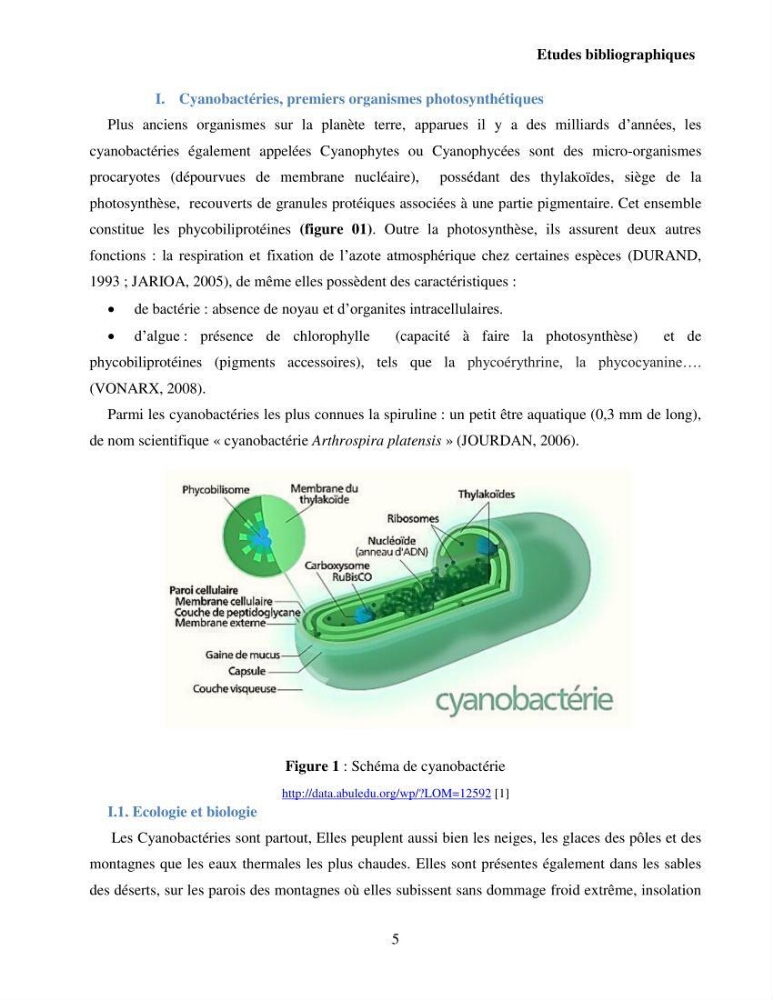 Extraction et identification des pigments de micro-algues à usage alimentaire et pharmaceutique