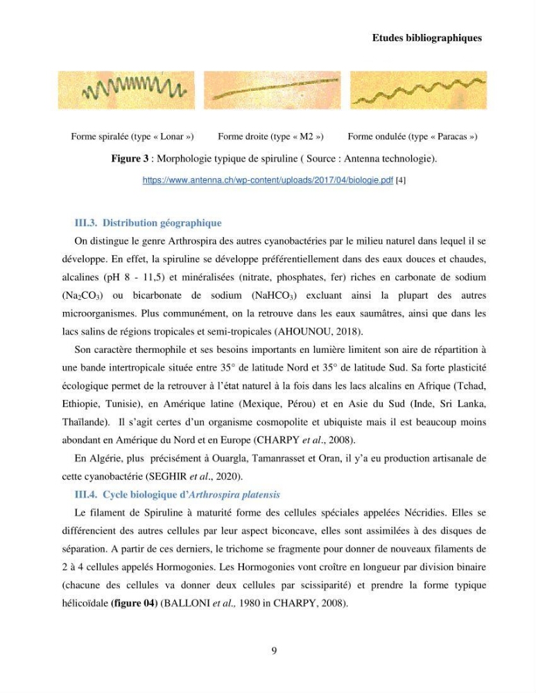 Extraction et identification des pigments de micro-algues à usage alimentaire et pharmaceutique