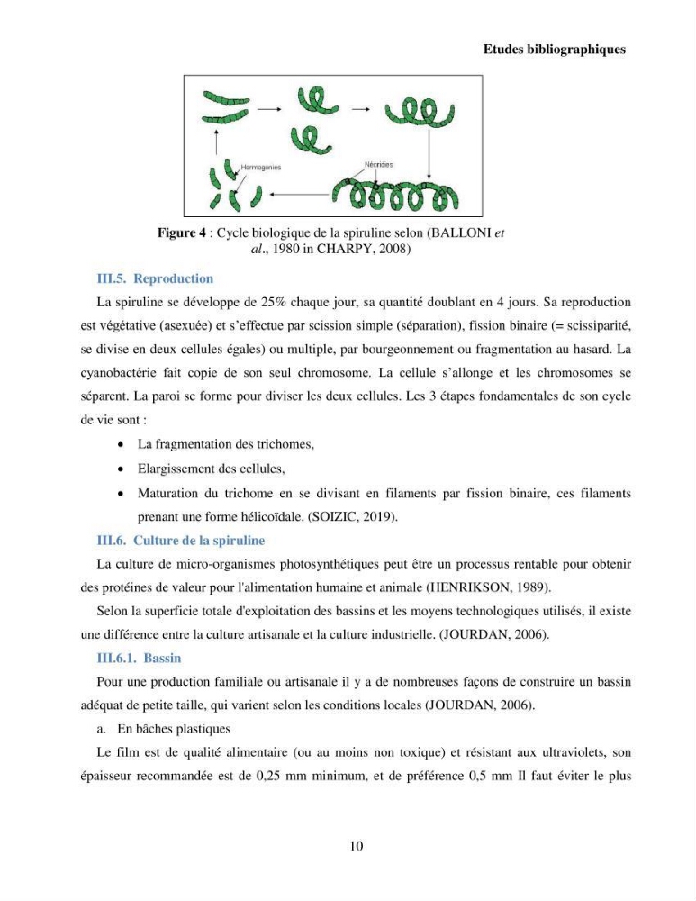 Extraction et identification des pigments de micro-algues à usage alimentaire et pharmaceutique
