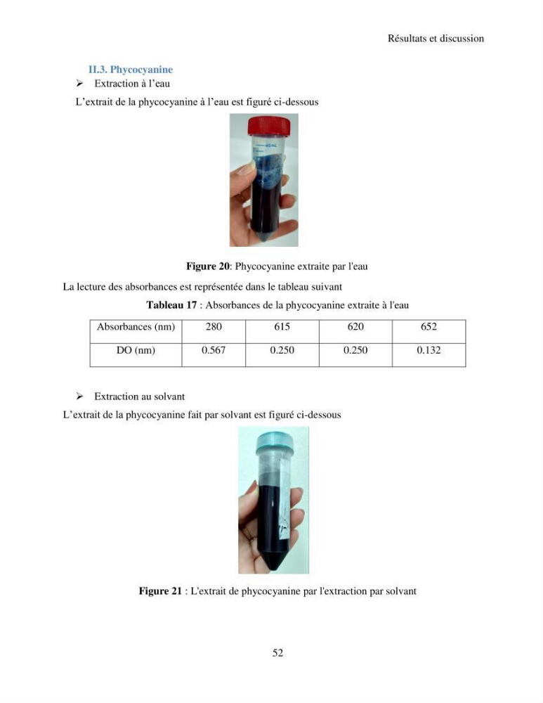 Extraction et identification des pigments de micro-algues à usage alimentaire et pharmaceutique